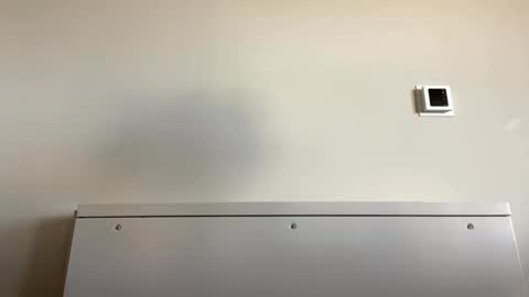 TylerC online show from 09/21/25, 06:09