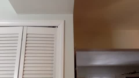 Snapshot of tylerdurden256 chatting on 02/13/25, 05:54 Tyler Durden online show from 02/13/25, 05:54