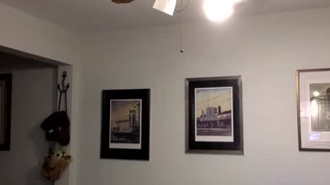 Snapshot of tylerdurden256 chatting on 02/14/25, 02:07 Tyler Durden online show from 02/14/25, 02:07