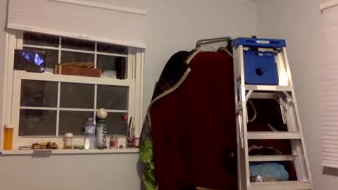 Snapshot of tylerdurden256 chatting on 02/17/25, 07:15 Tyler Durden online show from 02/17/25, 07:15