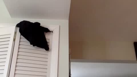 Snapshot of tylerdurden256 chatting on 03/02/25, 01:38 Tyler Durden online show from 03/02/25, 01:38