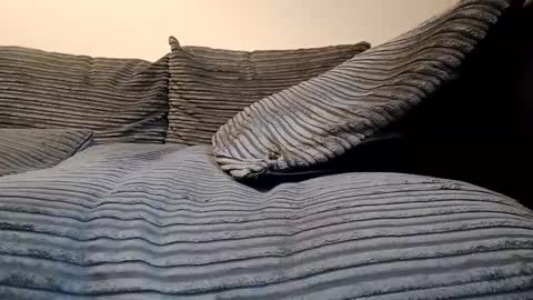 Snapshot of tyson2512 chatting on 02/19/26, 03:19 tyson2512 online show from 02/19/26, 03:19