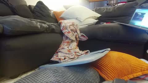 tysonjameson online show from 12/20/24, 02:27