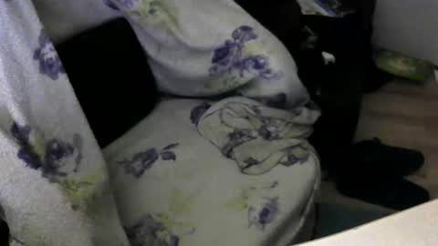 Snapshot of ucloudd chatting on 01/06/26, 06:50 ucloudd online show from 01/06/26, 06:50