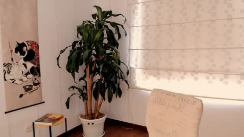 Martina online show from 05/11/26, 04:04