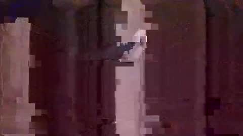 Snapshot of uncut4urbutt chatting on 12/08/24, 12:19 uncut4urbutt online show from 12/08/24, 12:19