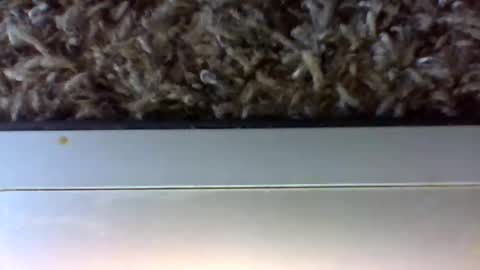 Snapshot of uncut_papi1989 chatting on 01/24/25, 06:25 tele kuzhbuzh online show from 01/24/25, 06:25