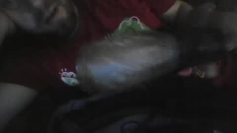 UncutGem online show from 12/17/25, 07:03