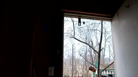 Snapshot of upforanything27 chatting on 12/25/24, 06:41 upforanything27 online show from 12/25/24, 06:41