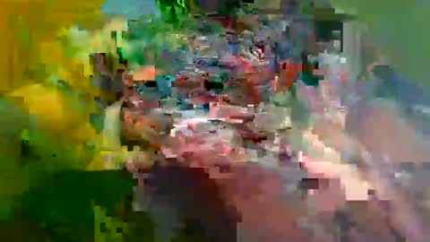 ur_zaddy4now online show from 01/24/25, 11:37