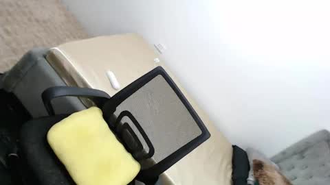 Amira online show from 02/26/25, 03:32