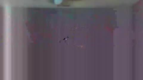 Snapshot of urls2025 chatting on 11/23/25, 04:34 urls2025 online show from 11/23/25, 04:34