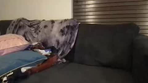 Urwivesaffair online show from 10/12/25, 01:54