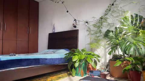 Snapshot of valent1nn chatting on 02/08/26, 01:47 Valentin independent Cam Boy online show from 02/08/26, 01:47