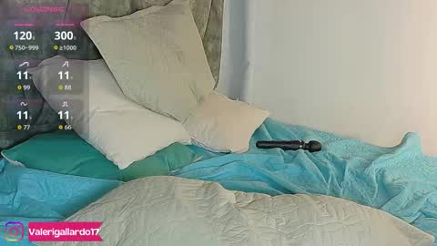 Snapshot of valerigallardo chatting on 11/22/25, 10:20 valerigallardo online show from 11/22/25, 10:20