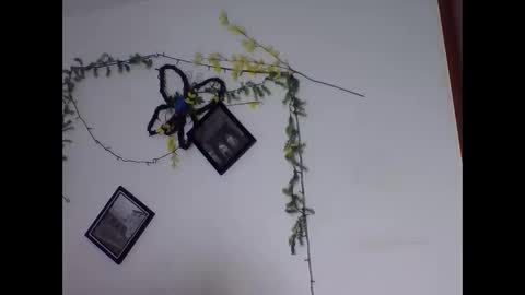 Snapshot of valery_honey_ chatting on 06/02/26, 01:18 valery_honey_ online show from 06/02/26, 01:18