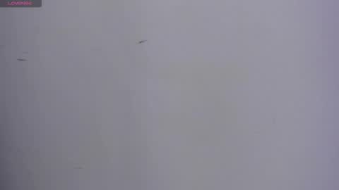 VALKA ROSS online show from 10/13/25, 11:16