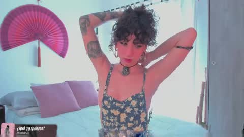      online show from 05/05/26, 08:28