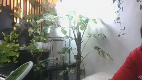 vanessa__foxx online show from 12/05/24, 04:44