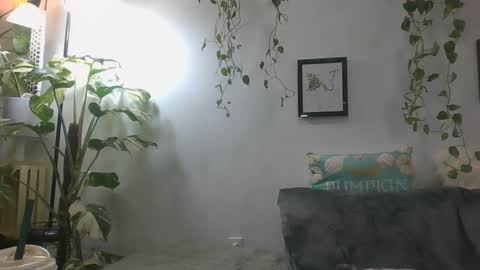 vanessa__foxx online show from 12/16/24, 03:30