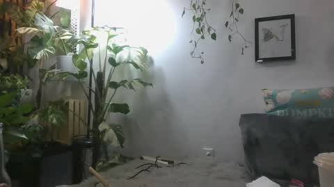 vanessa__foxx online show from 12/16/24, 06:32