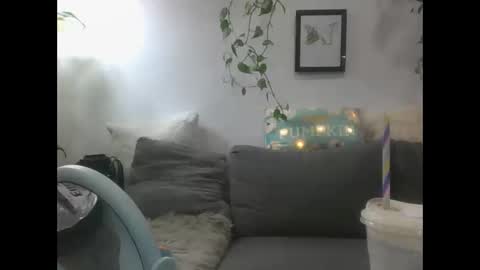 vanessa__foxx online show from 12/23/24, 12:19
