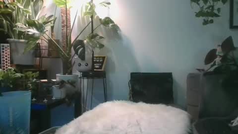 vanessa__foxx online show from 02/17/25, 11:55