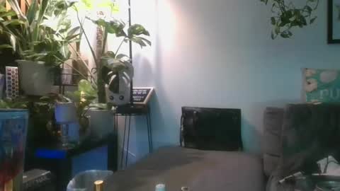vanessa__foxx online show from 02/23/25, 01:53
