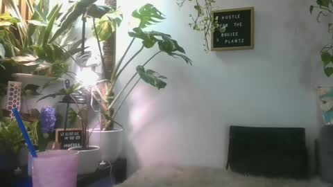 vanessa__foxx online show from 03/01/25, 07:26