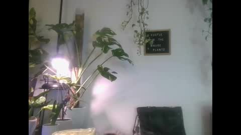 vanessa__foxx online show from 03/06/25, 04:30