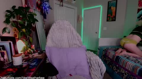 Snapshot of veeweatherbee chatting on 12/22/24, 02:28 Violet Weatherbee online show from 12/22/24, 02:28