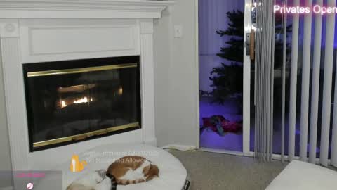 Snapshot of vegas_romance chatting on 02/12/25, 08:49 vegas_romance online show from 02/12/25, 08:49
