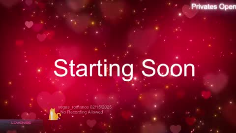 Snapshot of vegas_romance chatting on 02/16/25, 03:15 vegas_romance online show from 02/16/25, 03:15