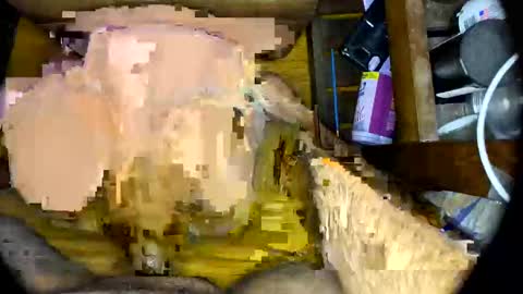 Snapshot of vegujo chatting on 02/07/25, 07:07 vegujo online show from 02/07/25, 07:07