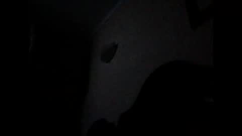 ven1977 online show from 10/26/25, 10:47