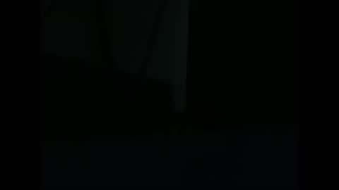 vendi1 online show from 12/28/24, 09:52