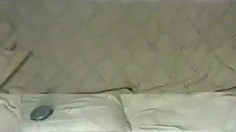 Snapshot of ventura50 chatting on 03/06/25, 08:30 ventura50 online show from 03/06/25, 08:30