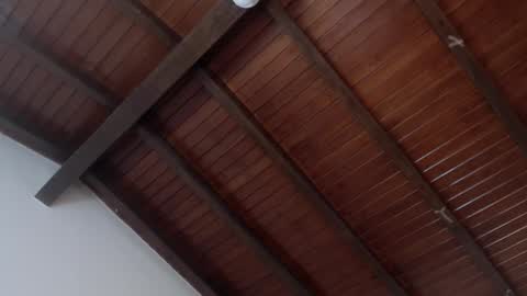 Snapshot of venusevans1 chatting on 02/04/25, 03:54 Venus Evans online show from 02/04/25, 03:54