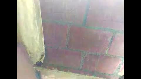 Snapshot of ver_gonblack chatting on 12/22/24, 04:59 ver_gonblack online show from 12/22/24, 04:59