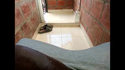 Snapshot of ver_gonblack chatting on 02/12/25, 06:19 ver_gonblack online show from 02/12/25, 06:19