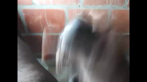 Snapshot of ver_gonblack chatting on 09/25/25, 11:52 ver_gonblack online show from 09/25/25, 11:52