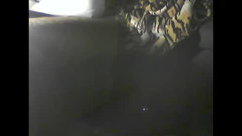 Snapshot of verdogan chatting on 12/20/24, 02:52 Im DanielVerdo 25 years old Lets have Fun and just ask what wanne know tnew anal bigock cum slave fullnaked online show from 12/20/24, 02:52