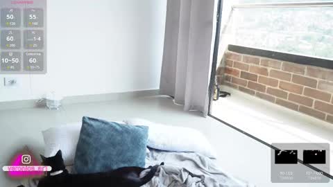 Snapshot of vero_cam chatting on 02/13/25, 07:42 vero_cam online show from 02/13/25, 07:42