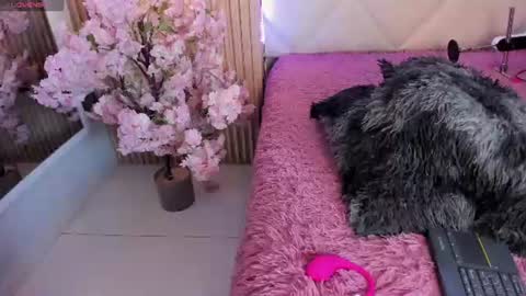 veronica_hill_ online show from 06/10/26, 03:07