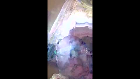 Snapshot of veronika456 chatting on 06/11/26, 08:01 veronika456 online show from 06/11/26, 08:01