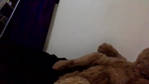 Snapshot of veryberrry chatting on 04/13/26, 10:04 DarkBerryBliss online show from 04/13/26, 10:04
