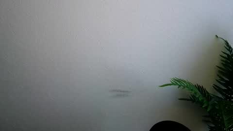 Snapshot of veryveryshygirl chatting on 02/05/26, 09:14 Ana online show from 02/05/26, 09:14