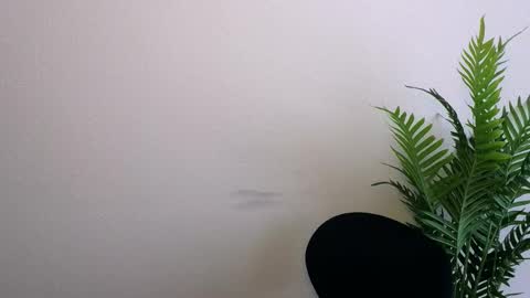 Snapshot of veryveryshygirl chatting on 03/12/26, 01:06 Ana online show from 03/12/26, 01:06