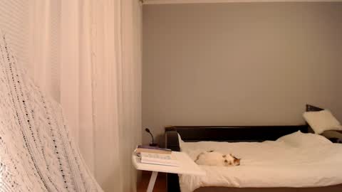 Amelia online show from 02/05/25, 05:09