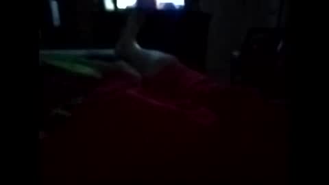 Snapshot of viciouzz1 chatting on 11/11/25, 11:27 viciouzz1 online show from 11/11/25, 11:27